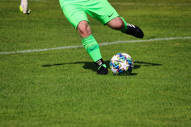 每位游客提 每位游客提